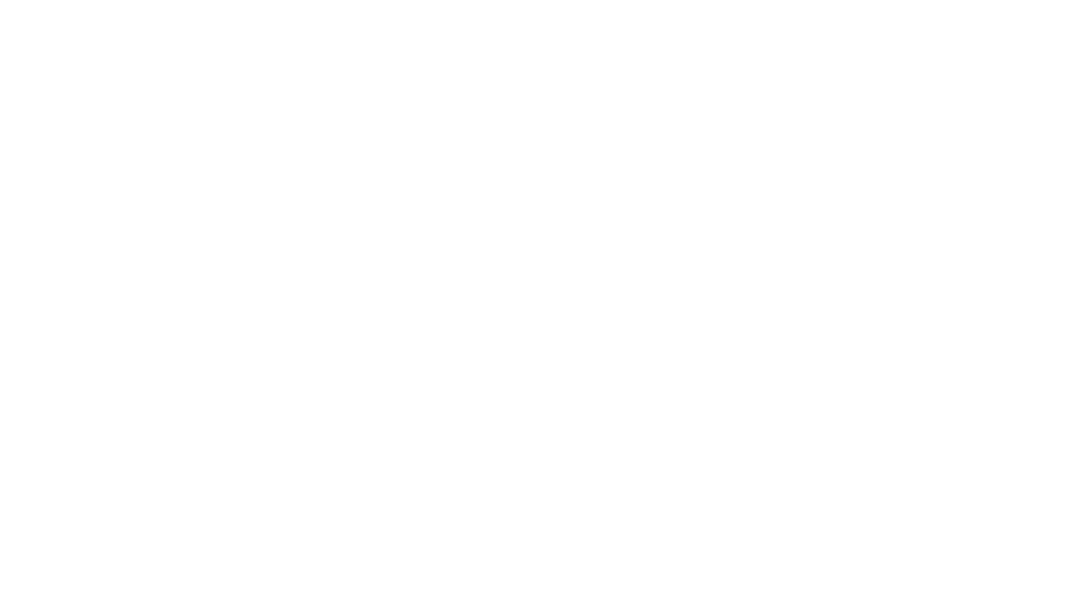 Dies Certus – Mediação de Seguros, Ramos Vida e Não Vida, Promotores Assurfinance